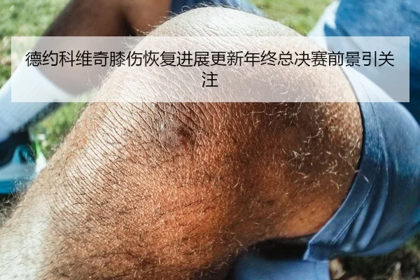 德约科维奇膝伤恢复进展更新年终总决赛前景引关注